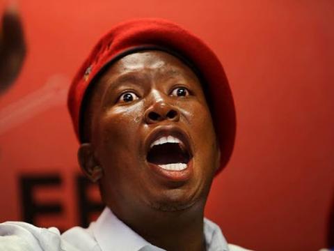 Julius Malema, challenger