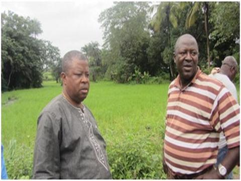 Dr. Sam Sesay &amp; DFPP Project Coordinator, Peter Bundu inspecting a soon-to-be-rehabilitated swamp 